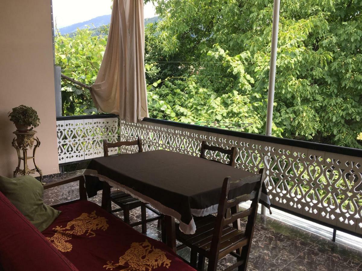 Guesthouse Aisi In Lagodekhi Ngoại thất bức ảnh